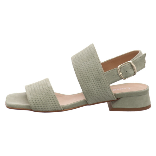 Lamica salvia baby soft (Velour) - Bild 1